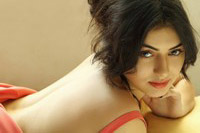 Hansika Motwani Spicy Photos